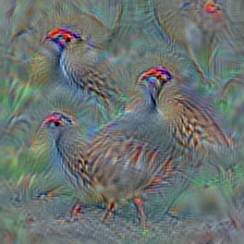 n01797886 ruffed grouse, partridge, Bonasa umbellus